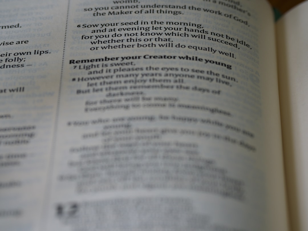 Photo programul de lucru