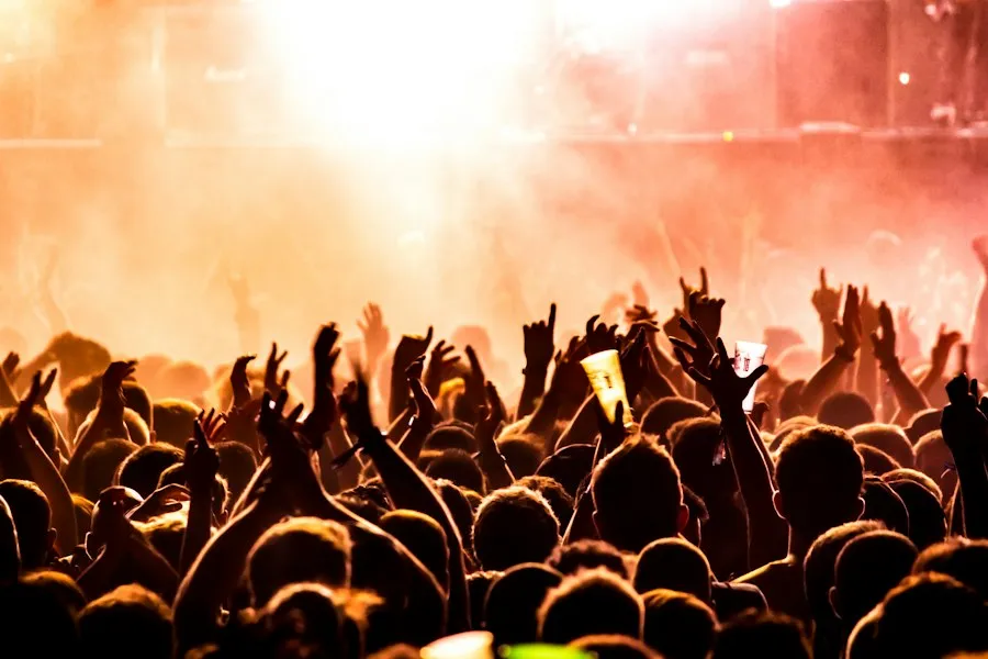 Photo concerts and festivals guide
